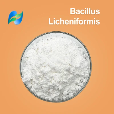 Кормовые пробиотические продукты, Bacillus Licheniformis CAS 68038-66-4.